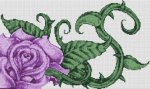 (image for) Purple Rose